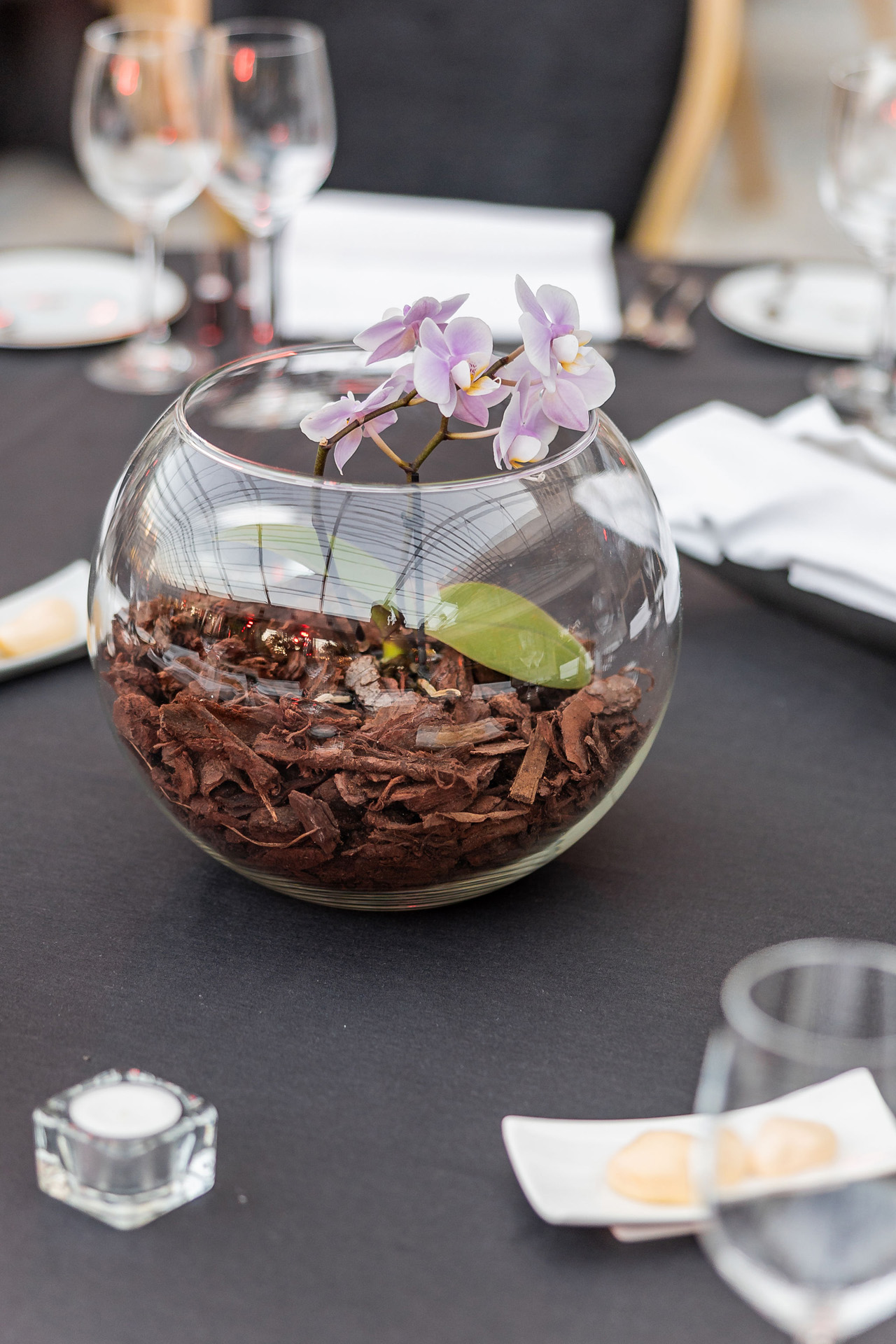 <a class='button-link' download href='https://www.ecao.org/wp-content/uploads/2025/02/ECAOLisbon24-arrivaldinnerandcocktail-18.jpg'>Download</a>