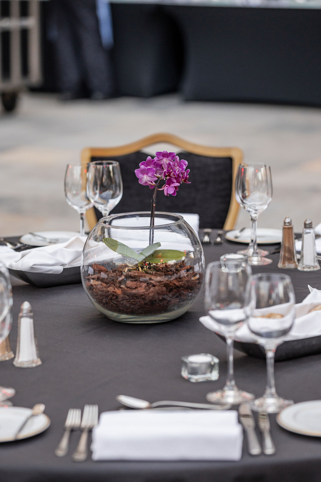<a class='button-link' download href='https://www.ecao.org/wp-content/uploads/2025/02/ECAOLisbon24-arrivaldinnerandcocktail-25.jpg'>Download</a>