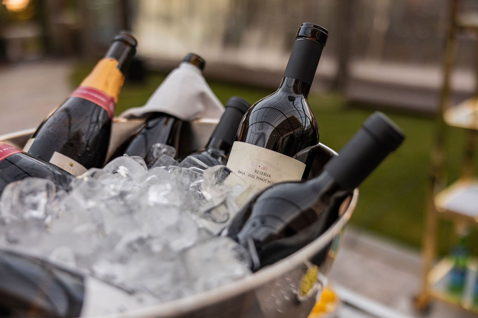 <a class='button-link' download href='https://www.ecao.org/wp-content/uploads/2025/02/ECAOLisbon24-arrivaldinnerandcocktail-51.jpg'>Download</a>