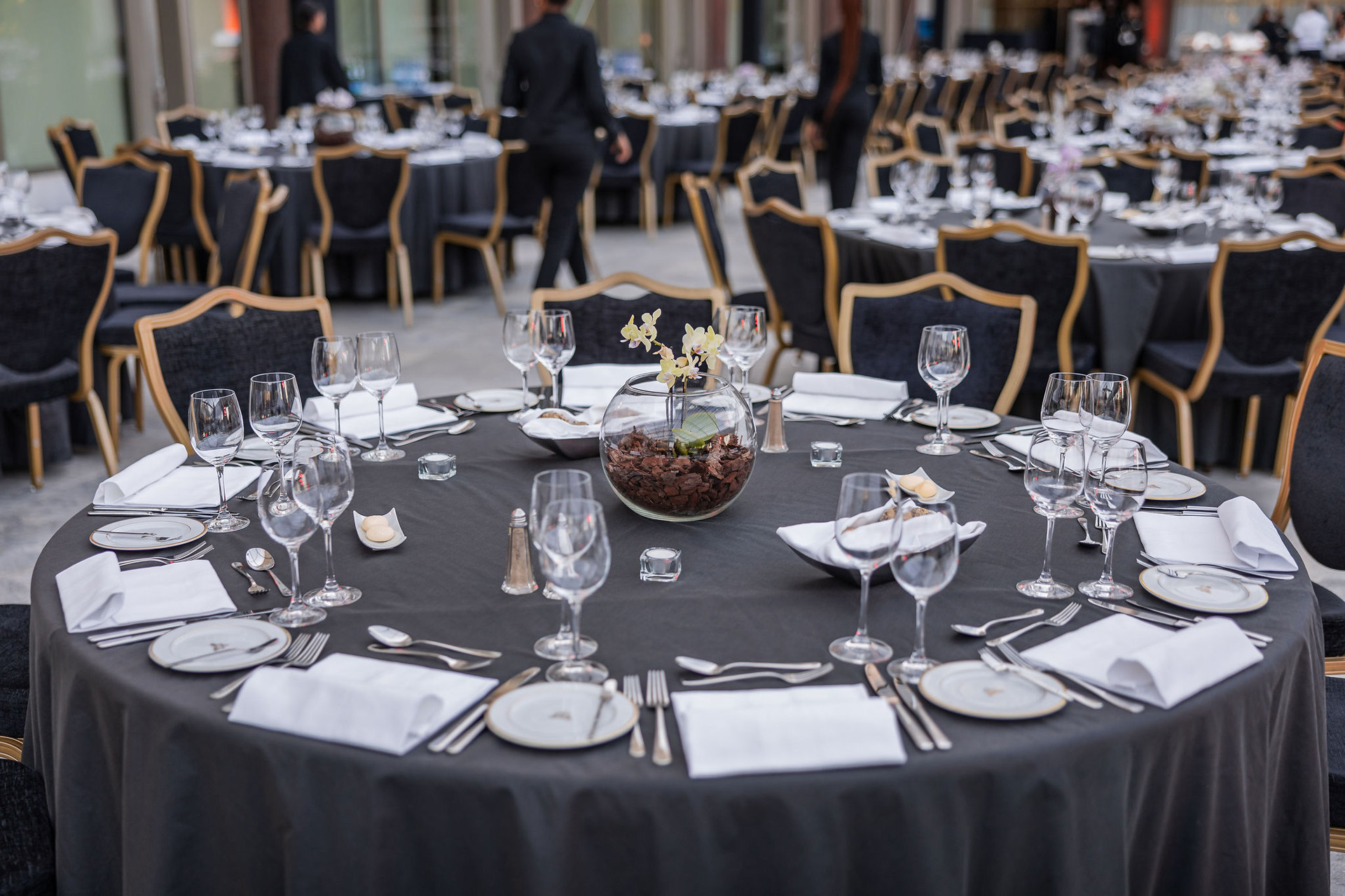 <a class='button-link' download href='https://www.ecao.org/wp-content/uploads/2025/02/ECAOLisbon24-arrivaldinnerandcocktail-7.jpg'>Download</a>