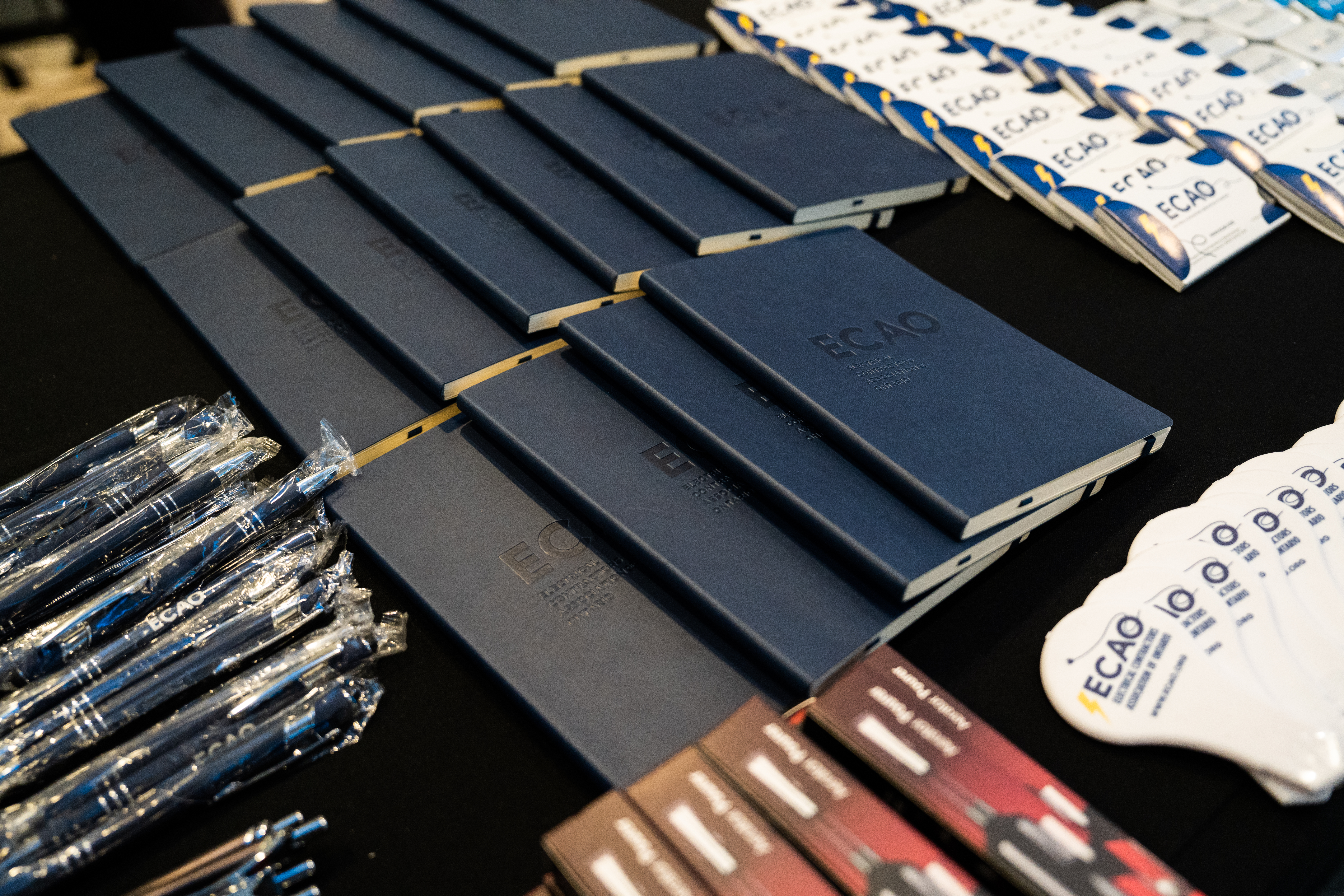 <a class='button-link' download href='https://www.ecao.org/wp-content/uploads/2025/11/DSC03195.jpg'>Download</a>