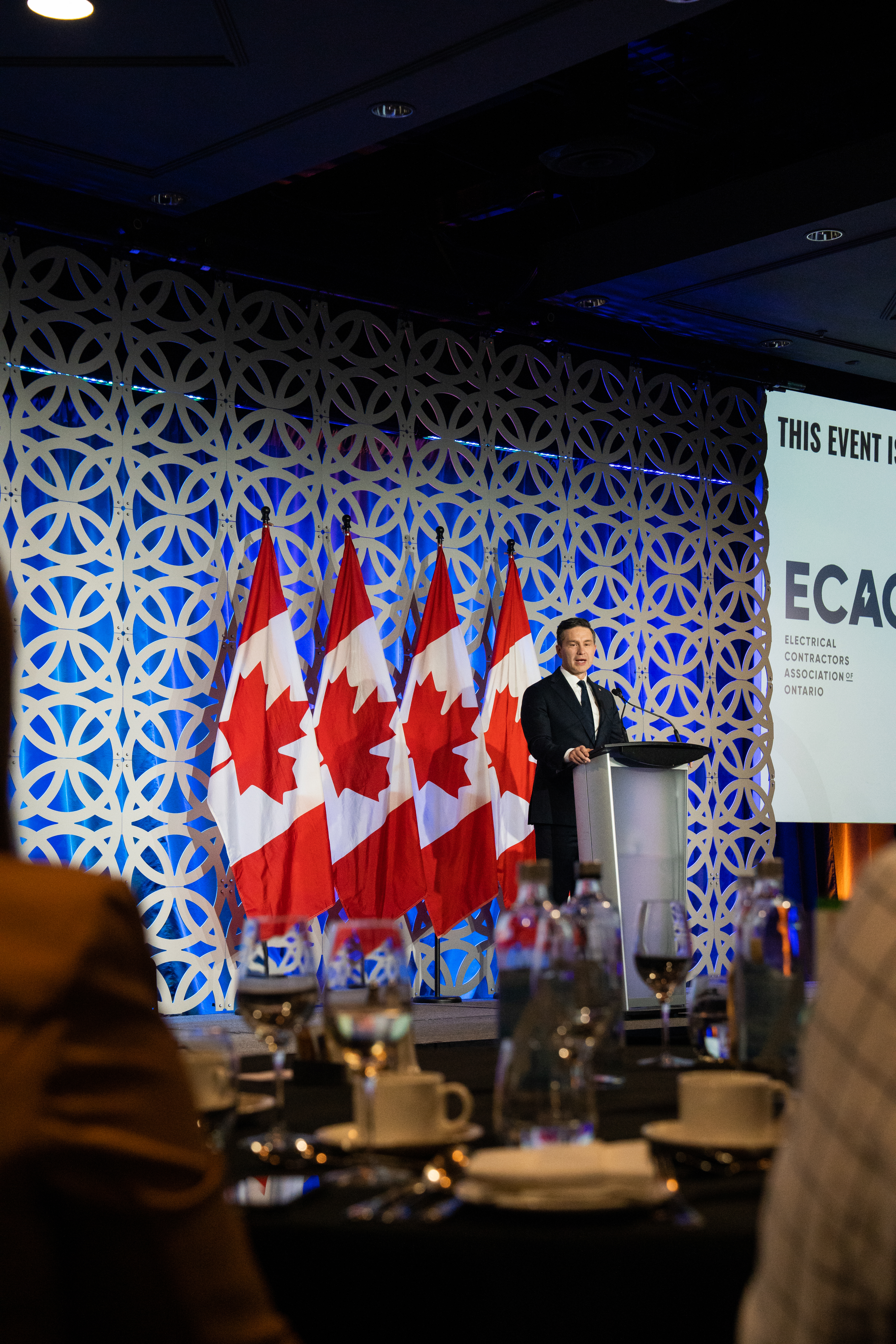 <a class='button-link' download href='https://www.ecao.org/wp-content/uploads/2025/11/DSC04373.jpg'>Download</a>