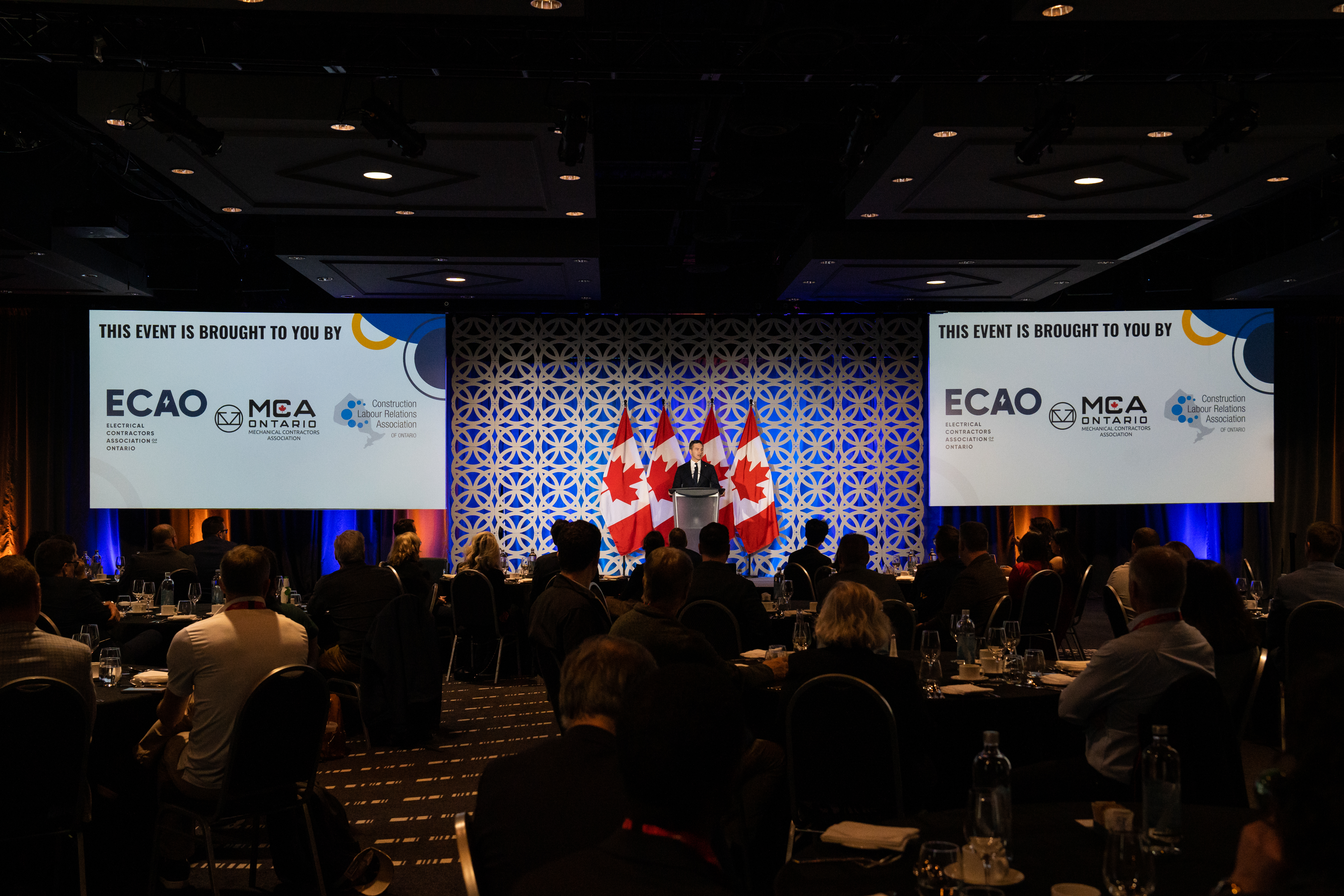 <a class='button-link' download href='https://www.ecao.org/wp-content/uploads/2025/11/DSC04384.jpg'>Download</a>