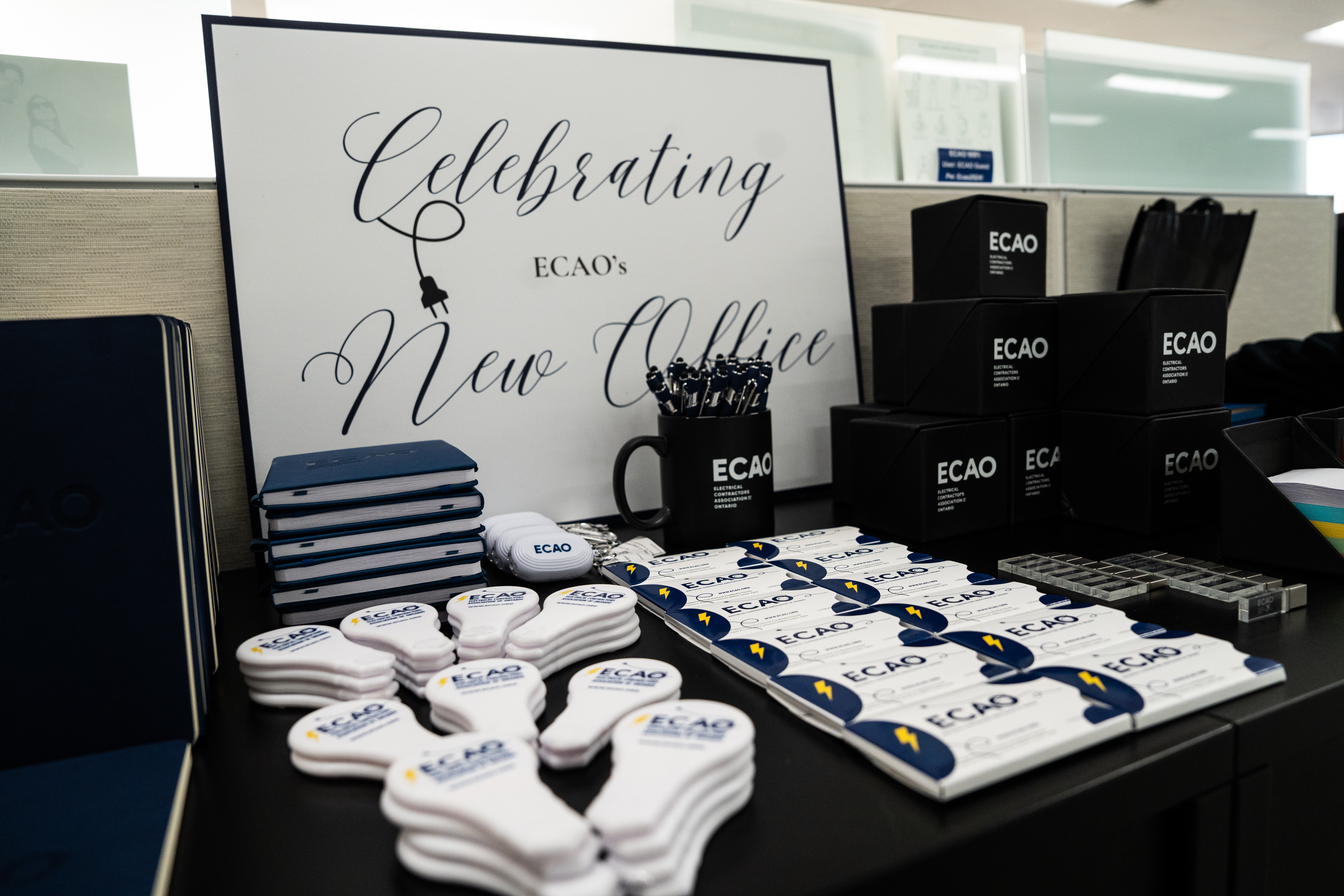 <a class='button-link' download href='https://www.ecao.org/wp-content/uploads/2025/11/DSC04502.jpg'>Download</a>