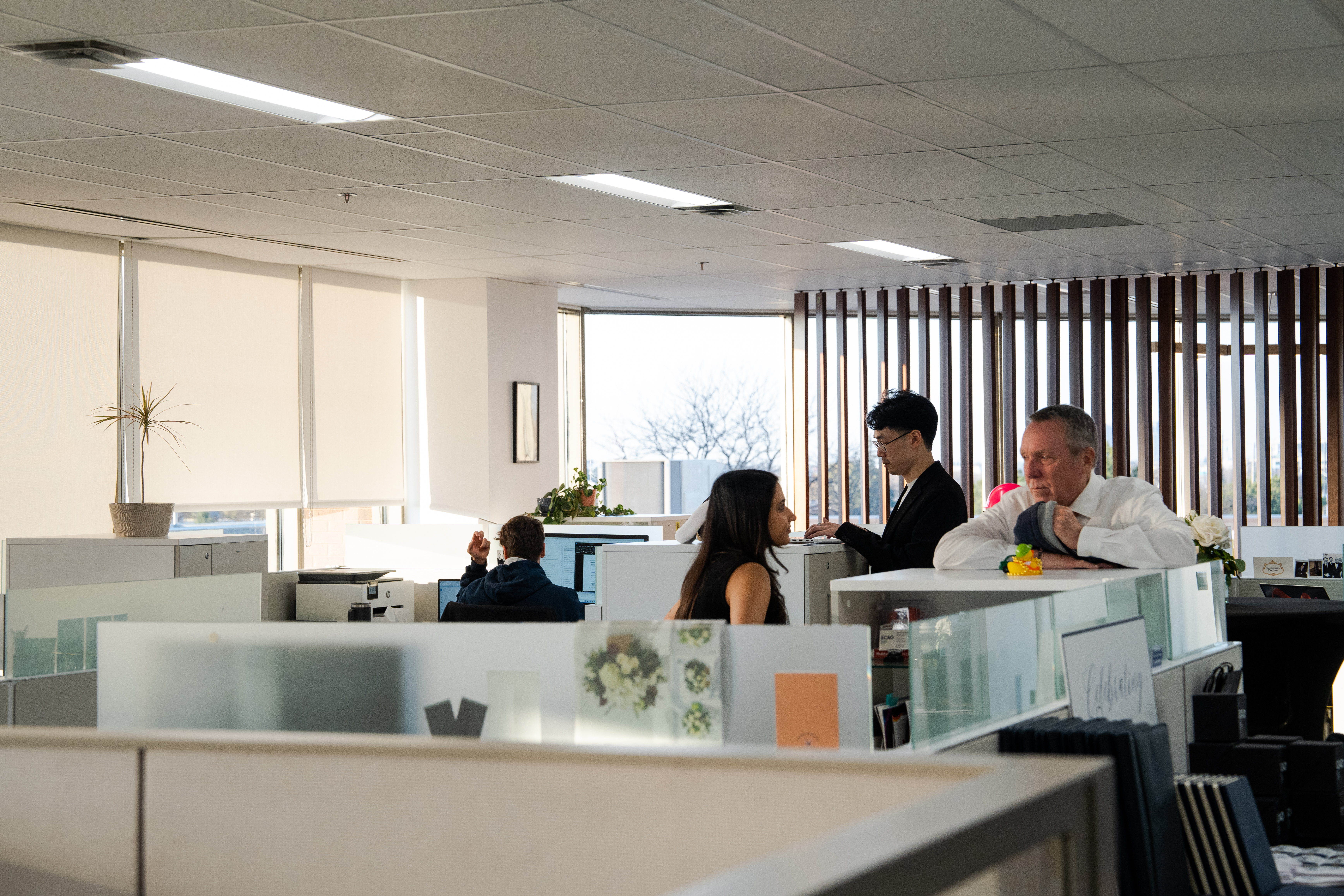 <a class='button-link' download href='https://www.ecao.org/wp-content/uploads/2025/11/DSC04531.jpg'>Download</a>