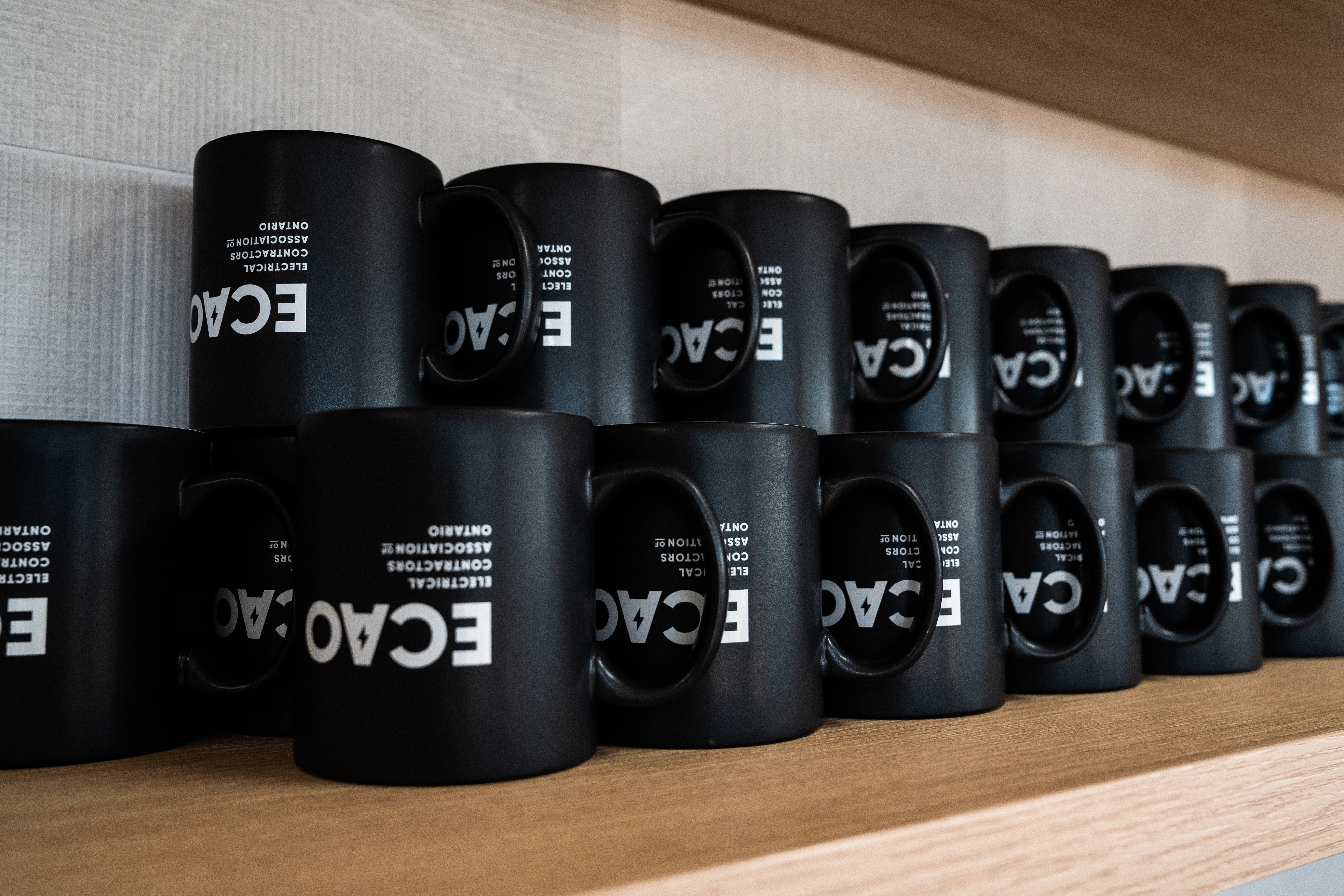 <a class='button-link' download href='https://www.ecao.org/wp-content/uploads/2025/11/DSC04541.jpg'>Download</a>