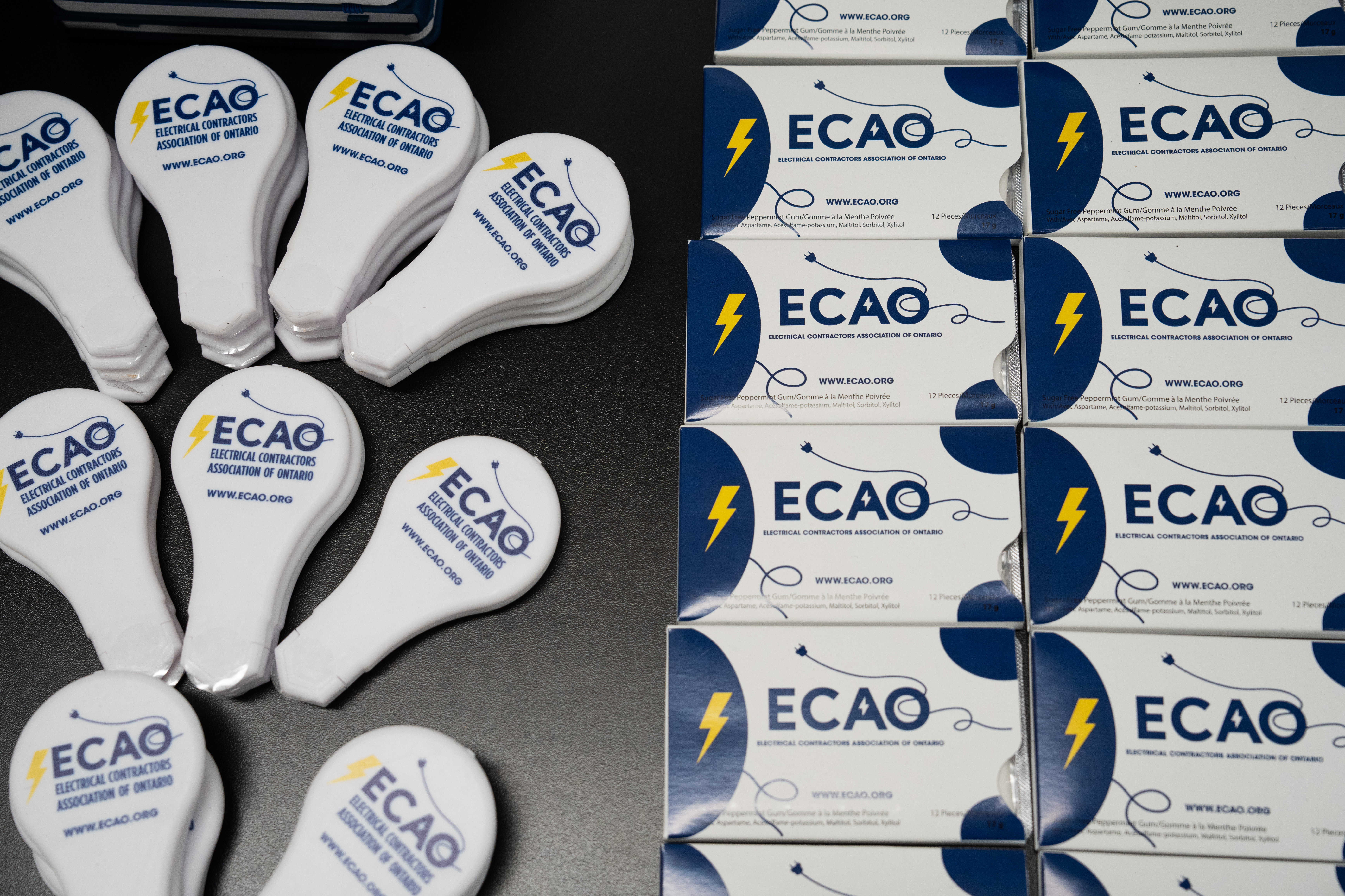 <a class='button-link' download href='https://www.ecao.org/wp-content/uploads/2025/11/DSC04544.jpg'>Download</a>