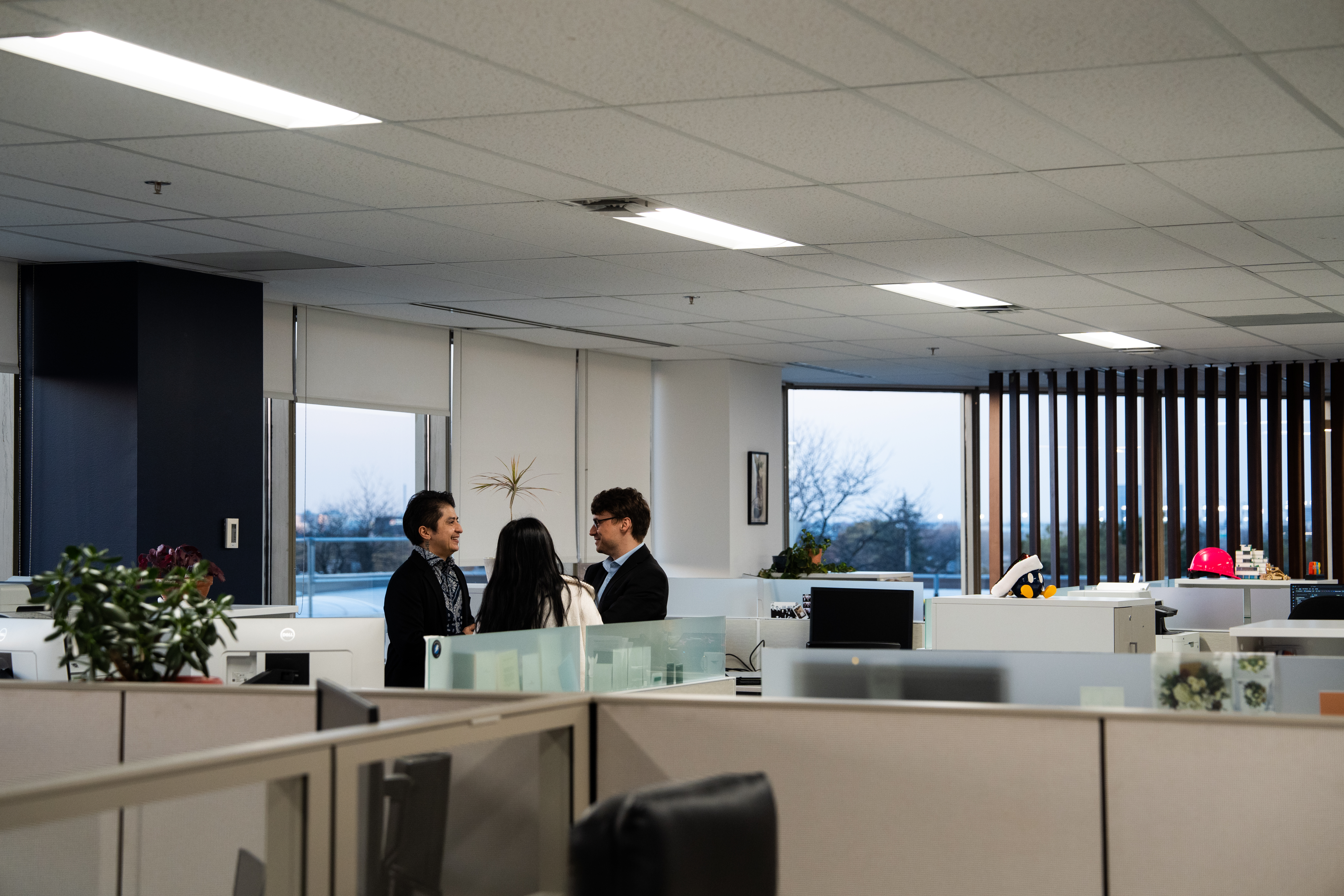 <a class='button-link' download href='https://www.ecao.org/wp-content/uploads/2025/11/DSC04630.jpg'>Download</a>