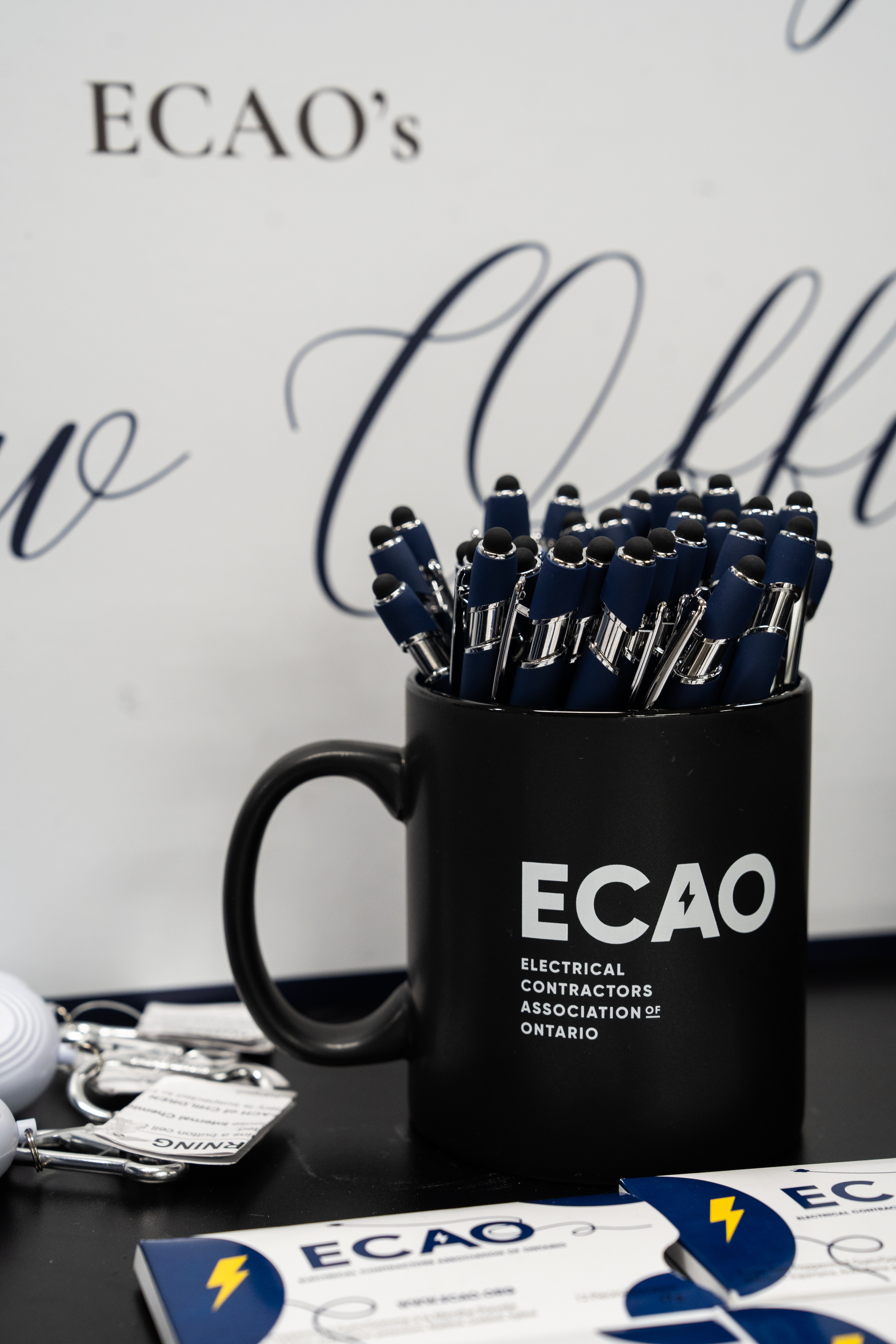 <a class='button-link' download href='https://www.ecao.org/wp-content/uploads/2025/11/DSC05010.jpg'>Download</a>