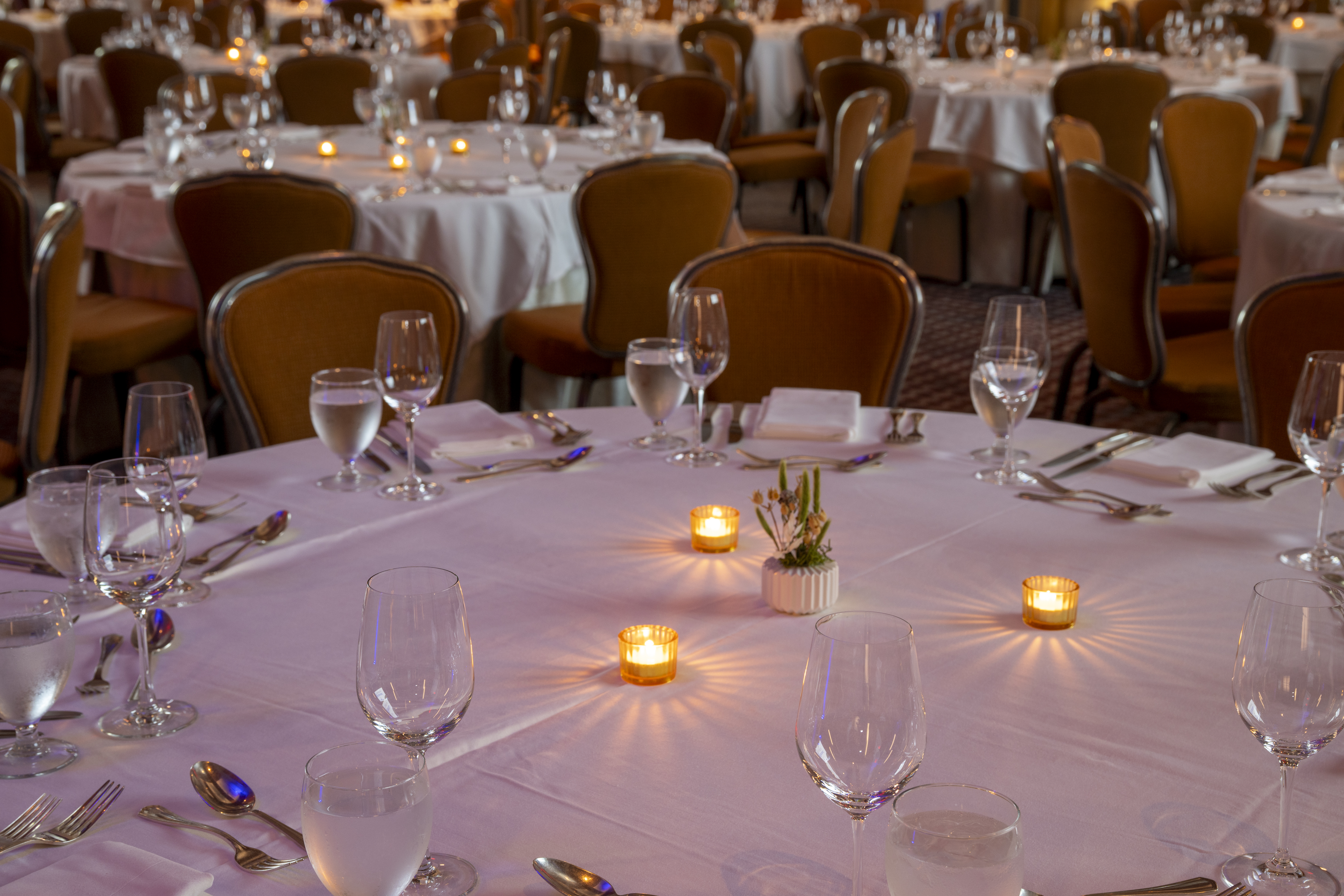 <a class='button-link' download href='https://www.ecao.org/wp-content/uploads/2025/11/mikecrane_ecoa_whistler_2025_014.jpg'>Download</a>