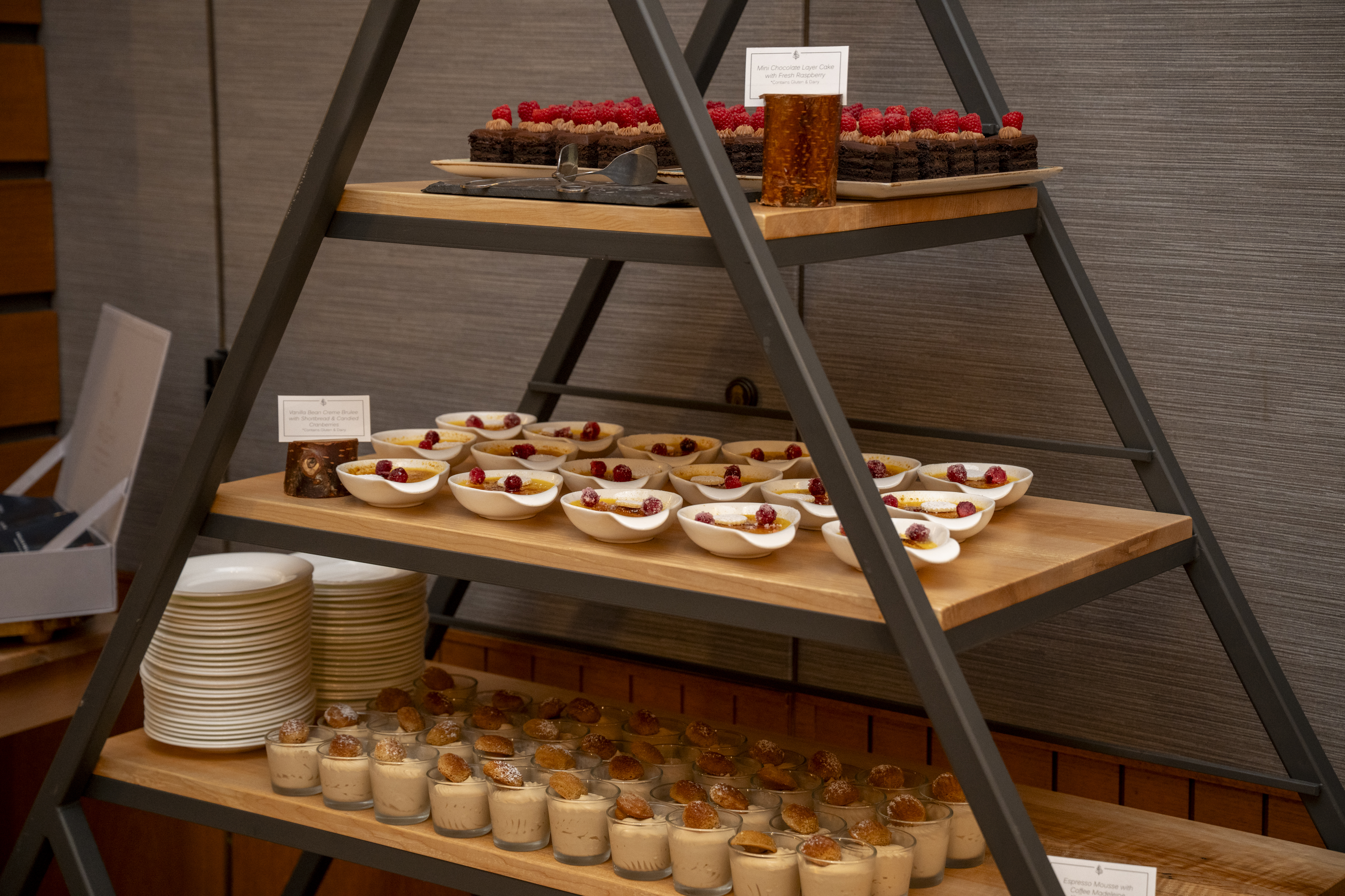 <a class='button-link' download href='https://www.ecao.org/wp-content/uploads/2025/11/mikecrane_ecoa_whistler_2025_117.jpg'>Download</a>