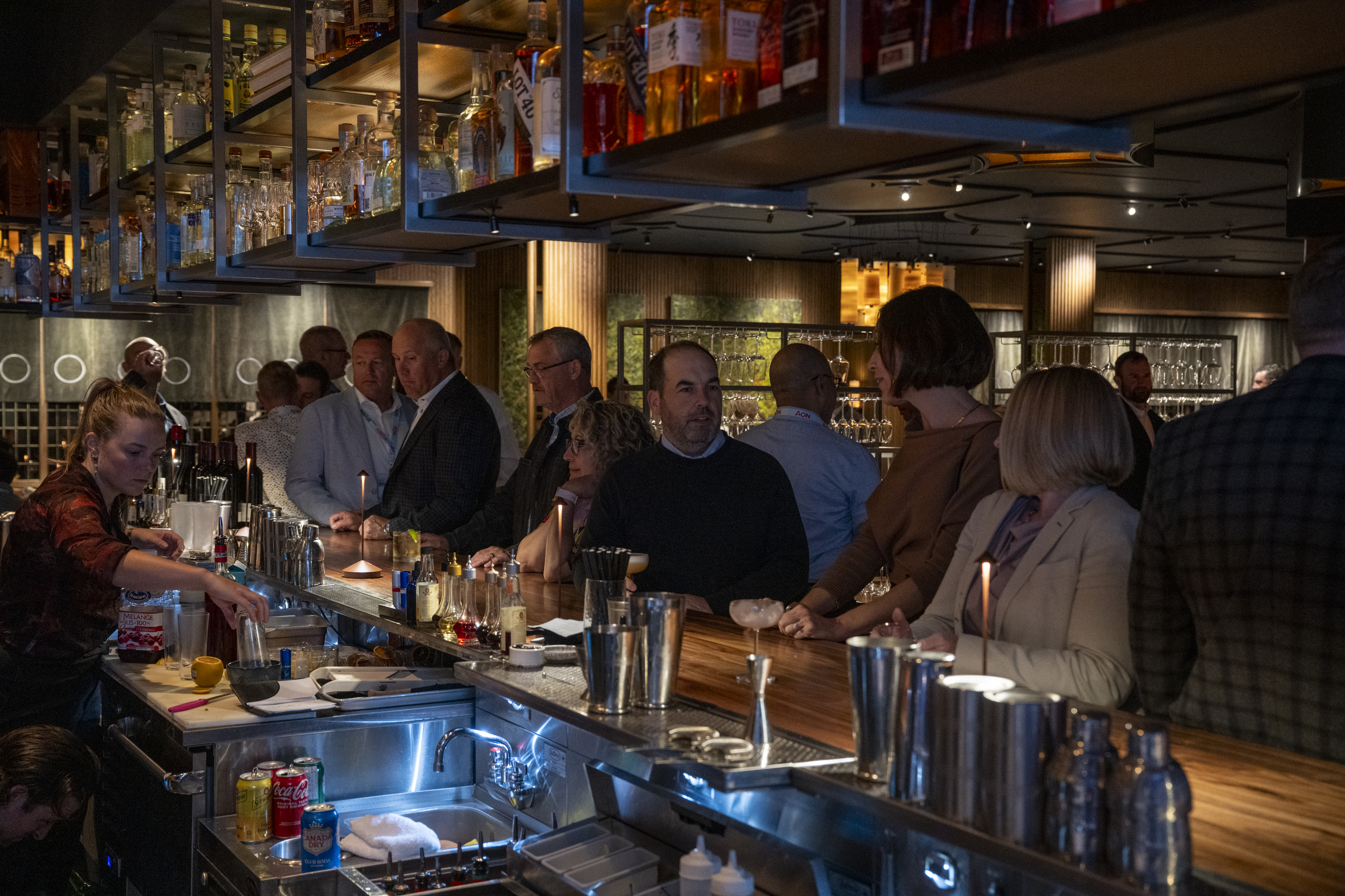 <a class='button-link' download href='https://www.ecao.org/wp-content/uploads/2025/11/mikecrane_ecoa_whistler_2025_172.jpg'>Download</a>