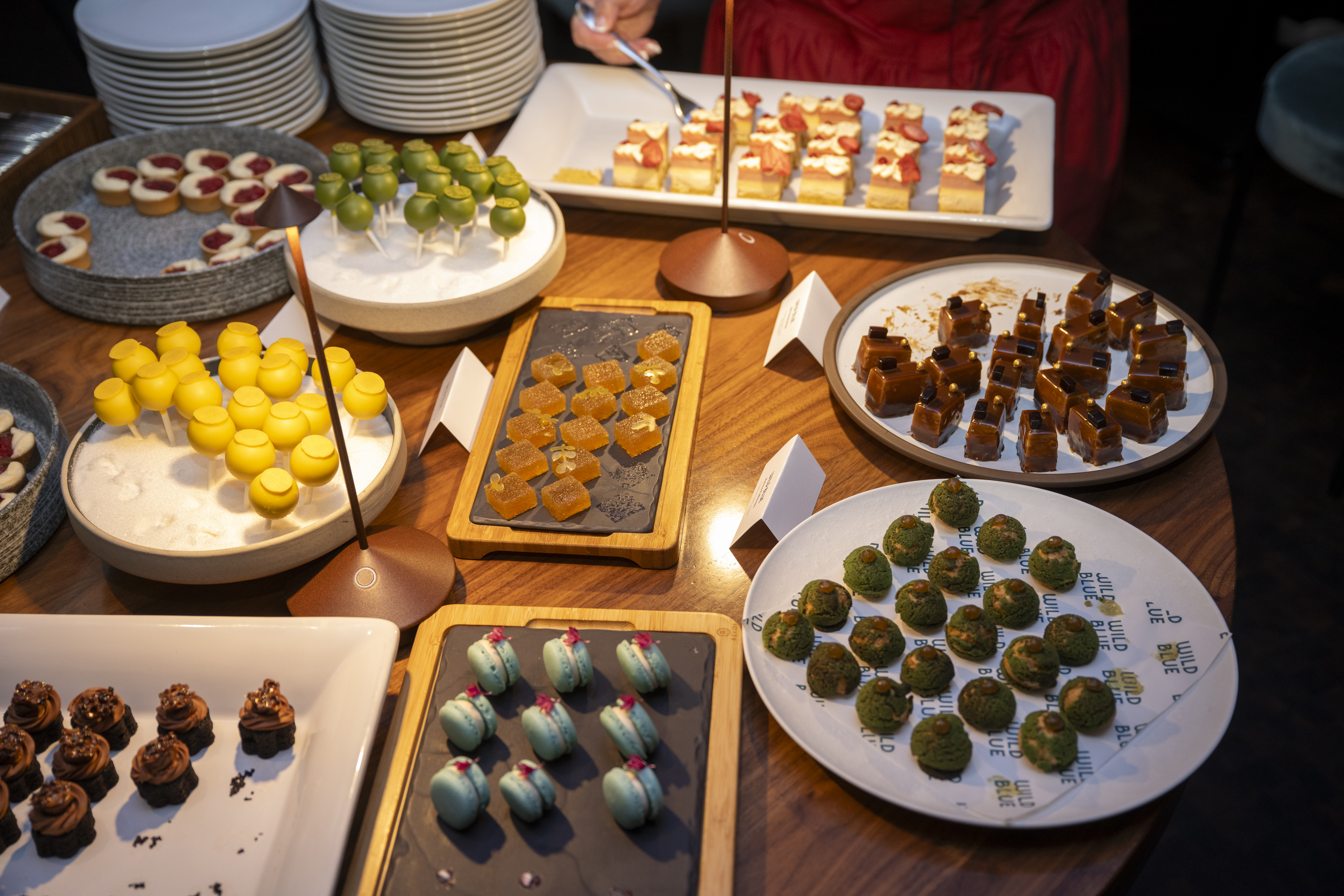 <a class='button-link' download href='https://www.ecao.org/wp-content/uploads/2025/11/mikecrane_ecoa_whistler_2025_181.jpg'>Download</a>