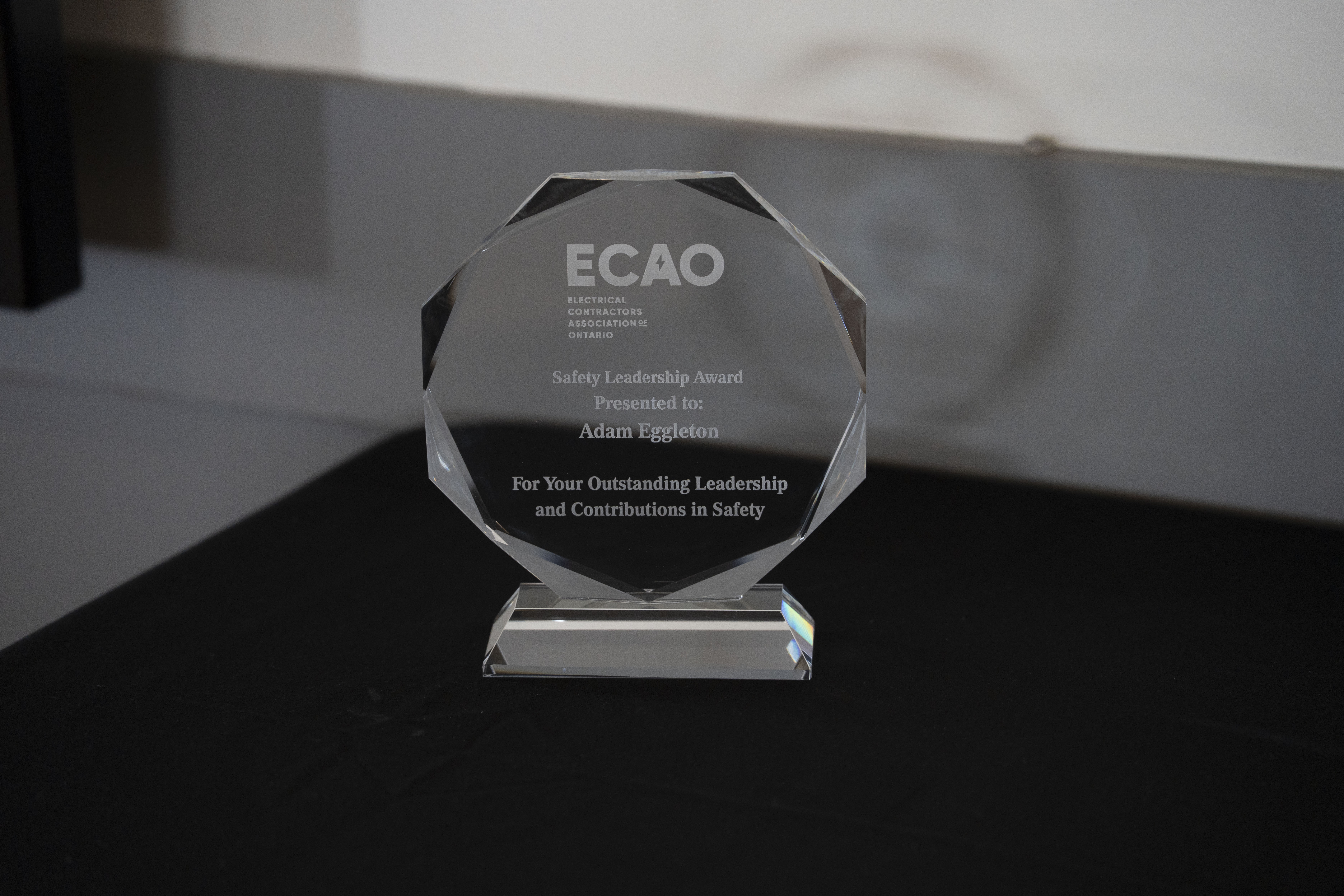 <a class='button-link' download href='https://www.ecao.org/wp-content/uploads/2026/06/DSC05478.jpg'>Download</a>