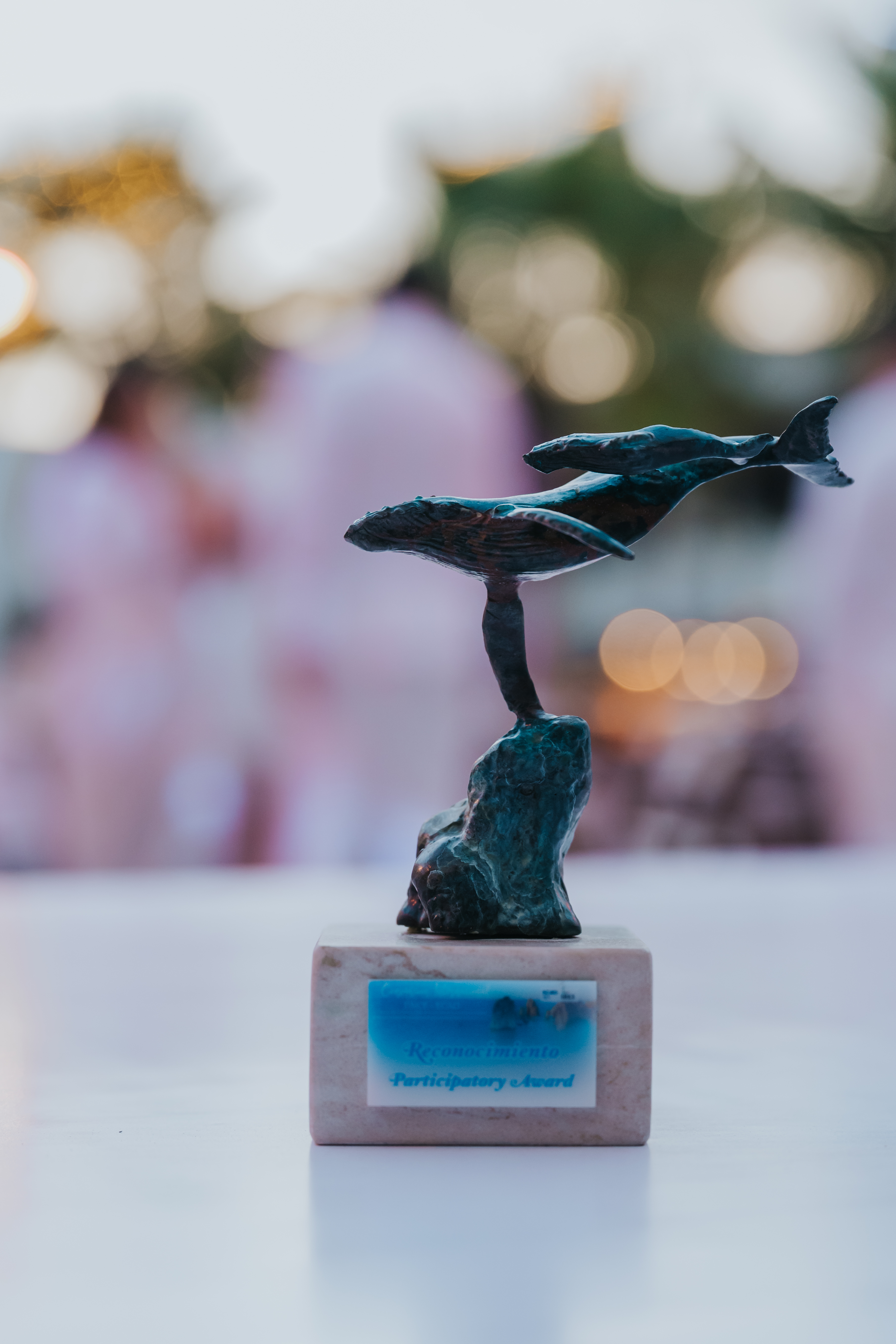 <a class='button-link' download href='https://www.ecao.org/wp-content/uploads/2026/06/ECAO-UNCE-Welcome-Evening-Cabo-05.03.26-JJStudio-87.jpg'>Download</a>